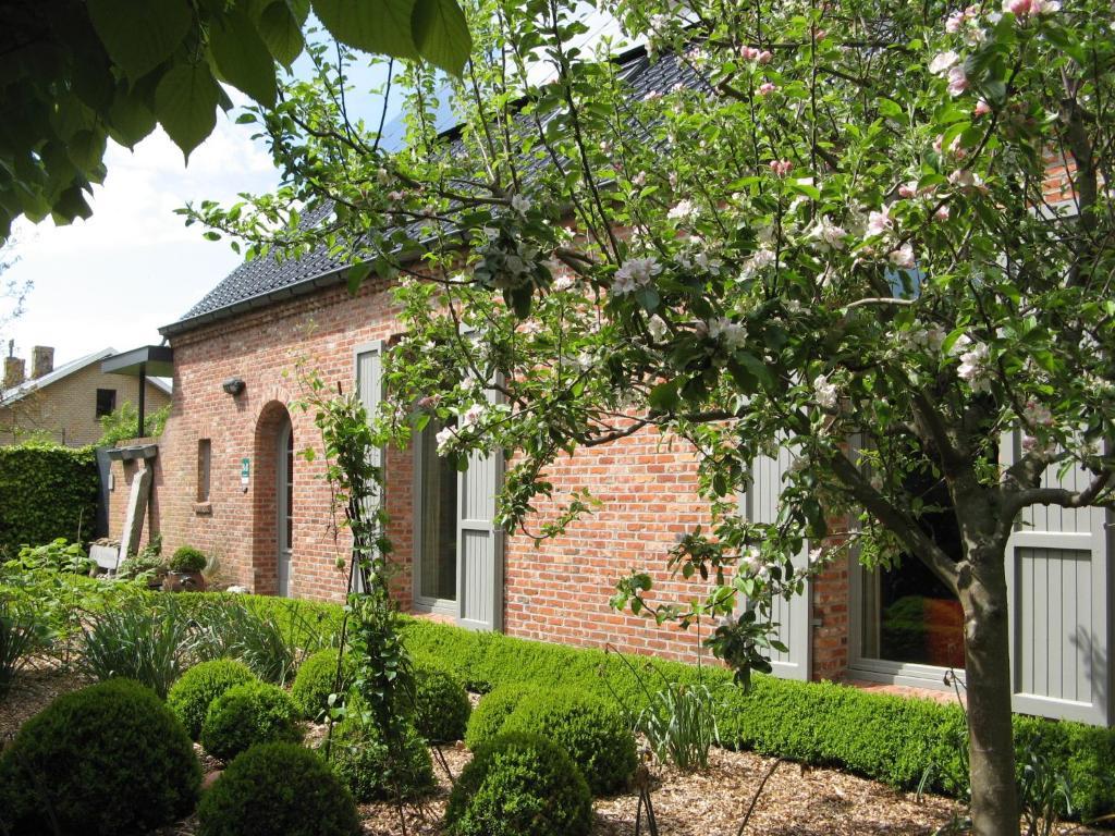 B&B De Kastanjeboom Jabbeke  Exteriör bild